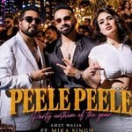 Peele Peele Lyrics -