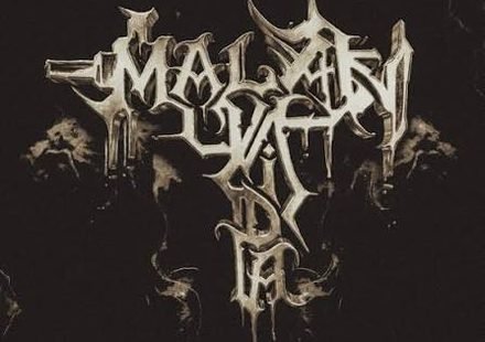 Una Vida De Artista Lyrics