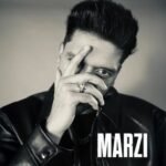Marzi Lyrics