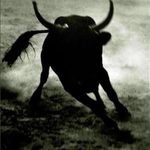 TOREADOR Lyrics