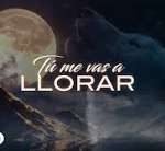 Tú Me Vas A Llorar Lyrics