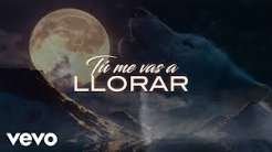 Tú Me Vas A Llorar Lyrics