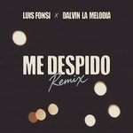 Me Despido (Remix) Lyrics