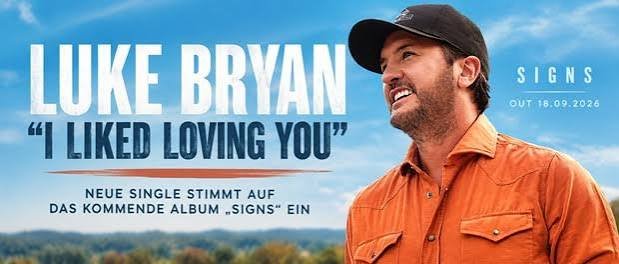 I Liked Loving You Lyrics