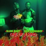 One Of A Kind Lyrics –